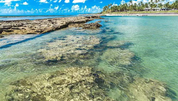 Os sorprenderán las playas de aguas cristalinas de Maragogi