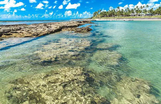 Tour en buggy por Maragogi - Foto 7