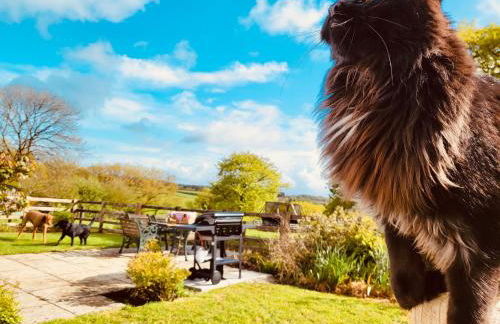 Barn End Cottage - Foto 25