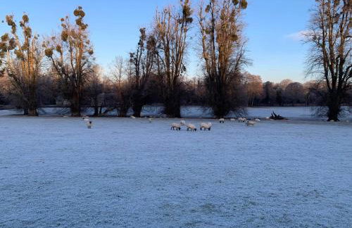 Lane End Cottage, Ovington - Foto 66
