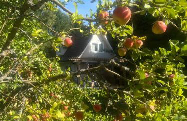 Harmony House - Photo 3