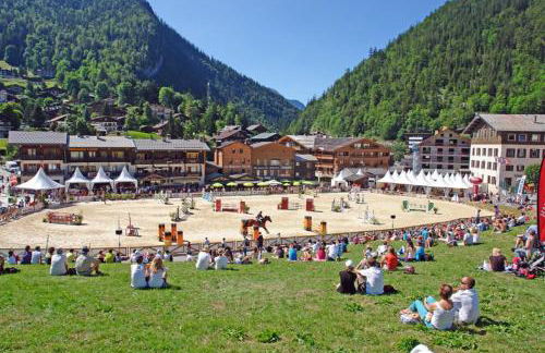 Résidence - Les Grandes Alpes - Foto 33