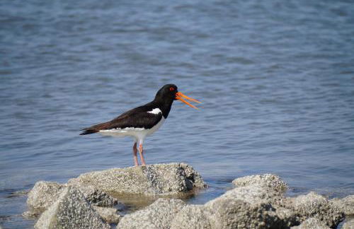 Villa Ludwig Fewo - Foto 23