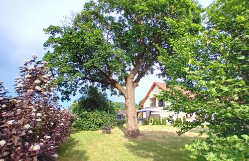 Pokoje gościnne Słoneczny Klon Dąbrówno - Foto 22