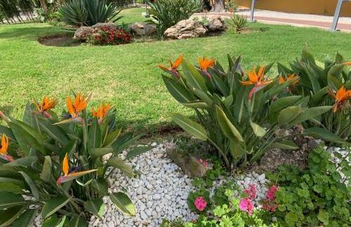 Vue mer exceptionnelle, El Rosario (Marbella). - Photo 18