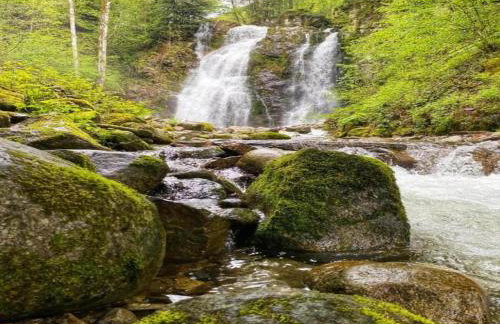 Chalet in La Bresse near Ski Slopes - Foto 29