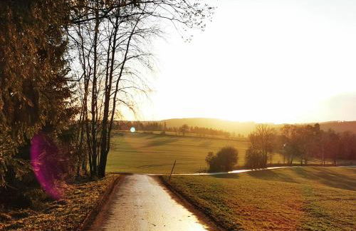 Pension 'Am Vogelherd' - Foto 34