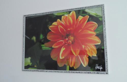 Dalija apartman - Foto 1