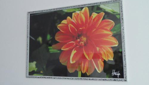 Dalija apartman - Foto 1