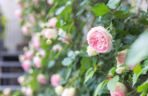 Casa del Maestro-Appartamenti d'Arte - Foto 60