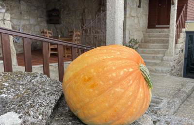 Casa De Santo Andre - Foto 58