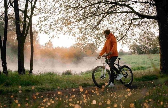 Etape en forêt - Foto 57