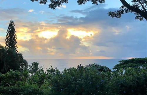 Hamakua Pukana La Hale 3 Bedroom Home by RedAwning - Foto 77