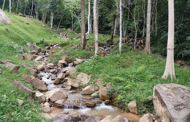 Tanarimba Bentong - Foto 42