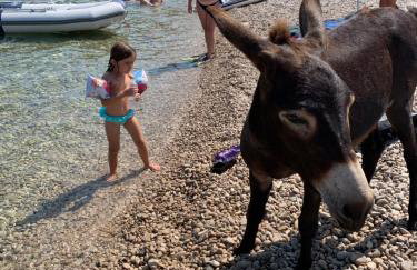 VisitAylinVis - Foto 41