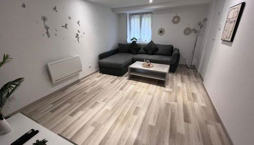 Metz Moulins 2 pièces - Foto 3