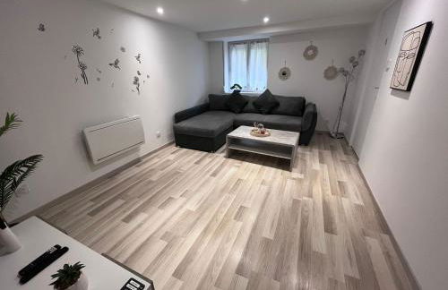 Metz Moulins 2 pièces - Foto 3