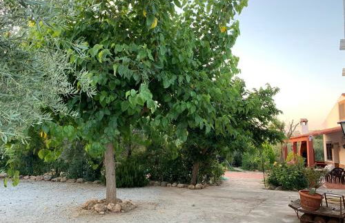 Casas Rurales Cazorla-Alcón - Foto 18