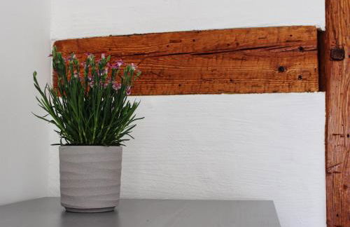 Ferienhaus Makrele von 1877 - Foto 19