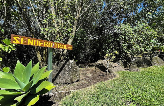 Villa Golondrina - Foto 21