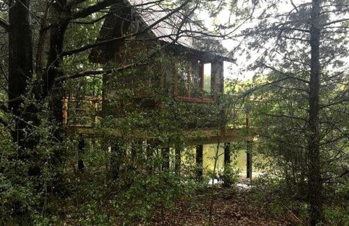 Texas Safari Camp Hummingbird Tree House - Foto 17