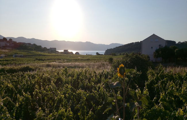 Apartment Kata - Foto 8