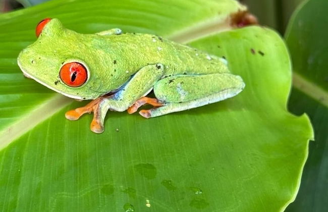 Cabañas Litos - Photo 62