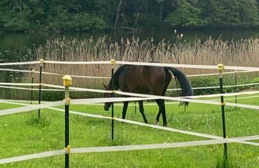 MemmingenBuxheimKartause - Foto 22