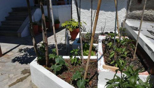 Feel at Home - Foto 5, Garden