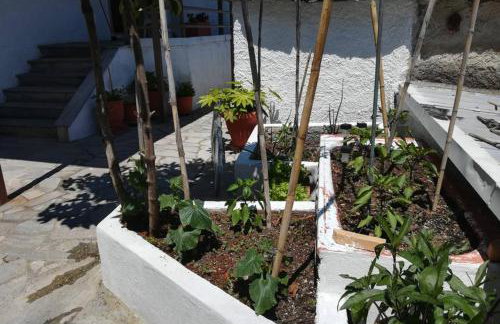 Feel at Home - Photo 5