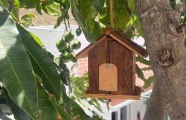 Paraiso de Anaga - Foto 9