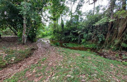 Casa Petar Betari - Foto 72