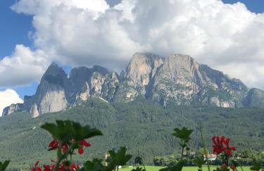 Mesnerhof my Paradise - Foto 25