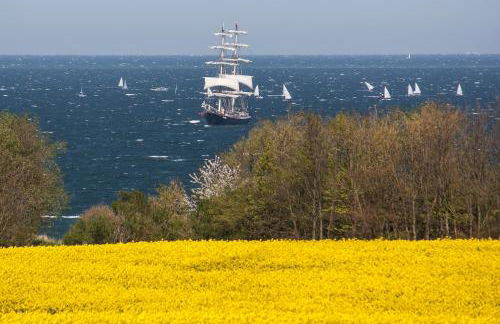 Villa DUXCAAR - Foto 38