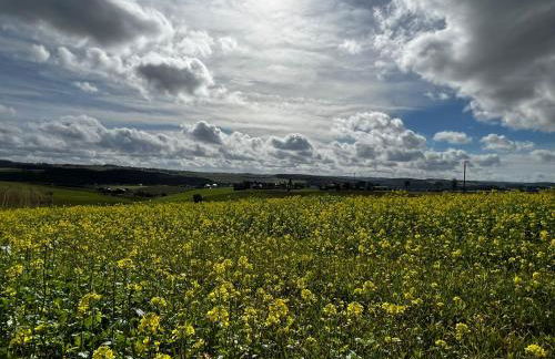 Ferienwohnung in der Jeeßjass - Foto 23