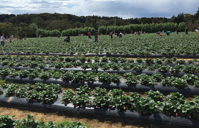 Aquawaters house by Barefoot Beach stays - Foto 20