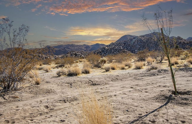 Luxe Modern Escape w Pool Hot Tub Firepit Desert View Lassen by Avantstay - Photo 39
