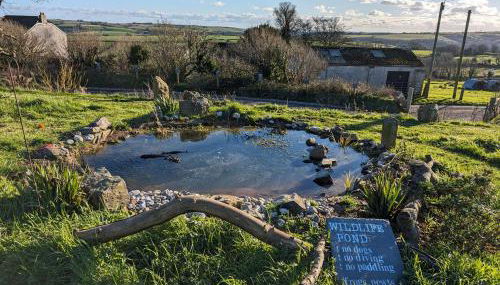 The Pasty - Lydcott Glamping - Foto 4, Garden view