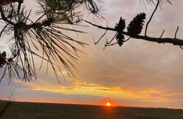 Aux couleurs de la Baie à Sailly-Bray - Foto 22