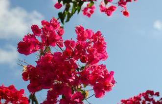 Helen's Minimal Studios & Apartments - Photo 59