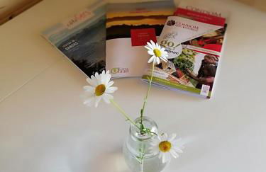 Les Chalets de Grazimis - Photo 6