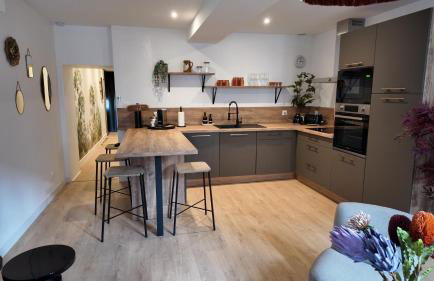 Dijon Hypercentre - Loge de la chouette - Foto 6