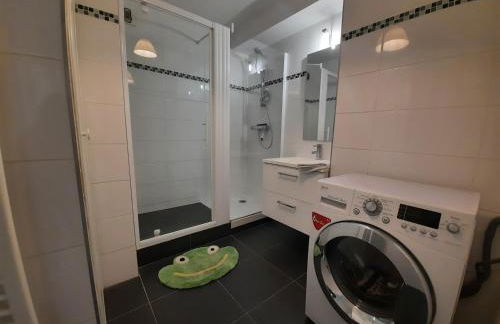 Le grand Sillon - Foto 15