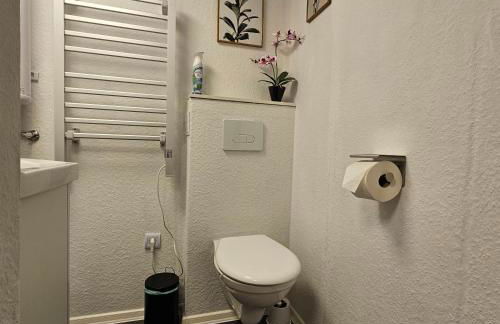 Grünhäuschen im Erzgebirge, 620 m üdM - Foto 19