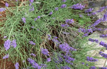 Apartment Jasna B - Foto 47