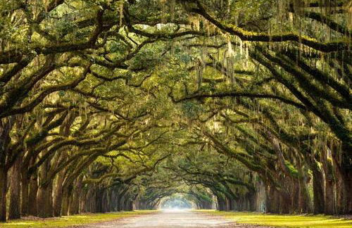 HISTORIC DOWNTOWN KING BED COTTAGE- PARKING and PATIO - Foto 13