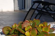 Sa Zirighetta - Foto 23