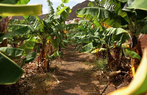 Finca Ecológica Quinta Los Tizones - Foto 65