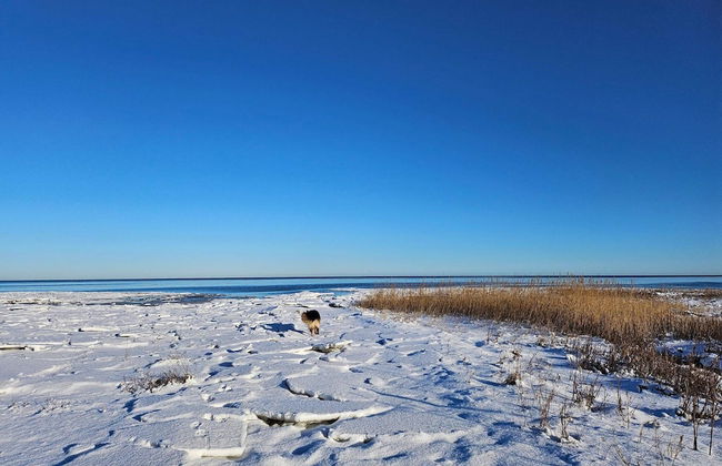 10 Person Holiday Home in Orsted - Foto 24