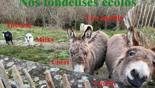 Gite De Lasbareilles - Foto 5